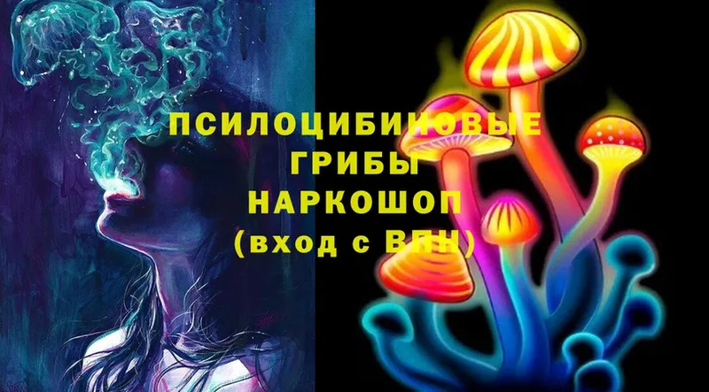 Псилоцибиновые грибы Magic Shrooms  даркнет наркотические препараты  Апрелевка  что такое  